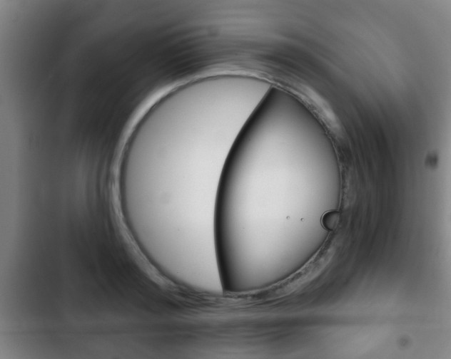 X0000103220796200808280925