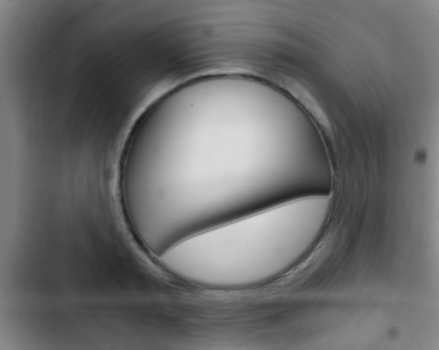 X0000103220797200808280925