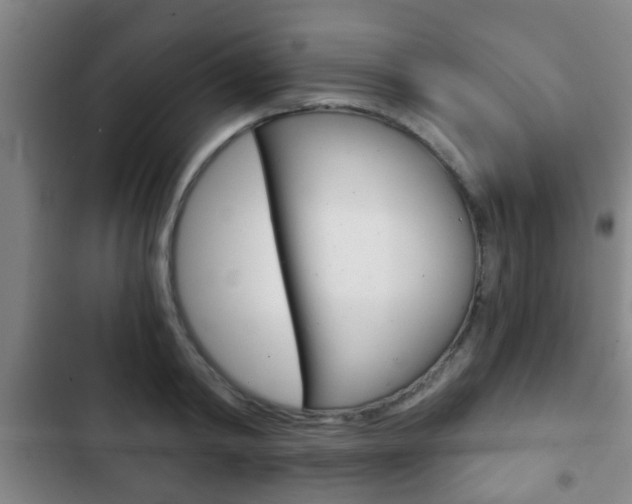 X0000103220798200808280925
