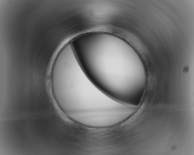X0000103220800200808280925
