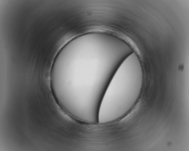X0000103220802200808280925