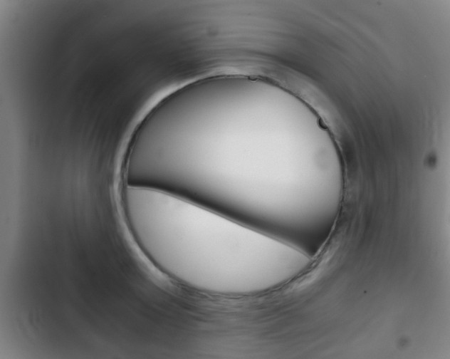 X0000103220803200808280925