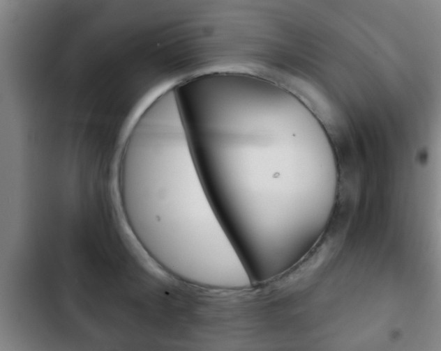 X0000103220804200808280925