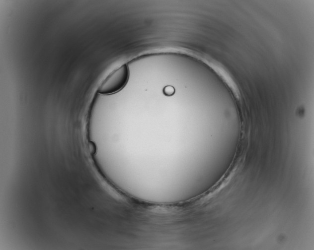 X0000103220805200808280925