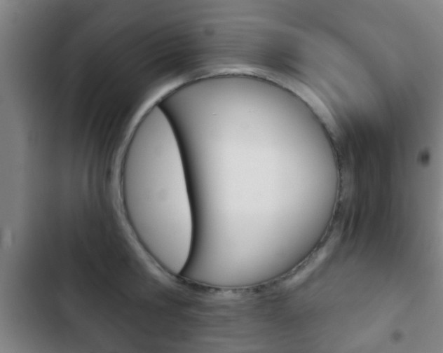 X0000103220806200808280925