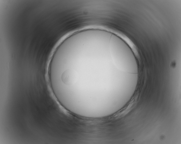 X0000103220807200808280925