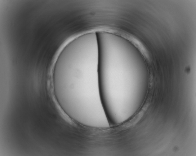 X0000103220808200808280925