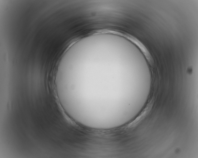 X0000103220809200808280925