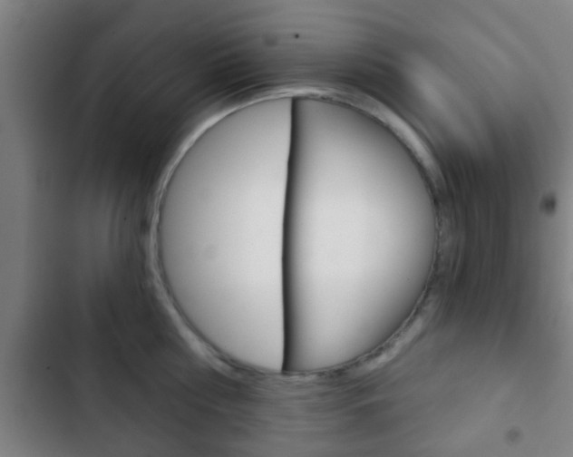 X0000103220810200808280925