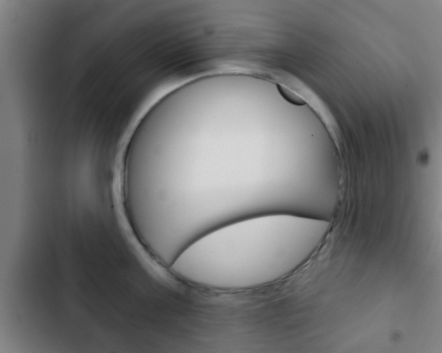 X0000103220811200808280925