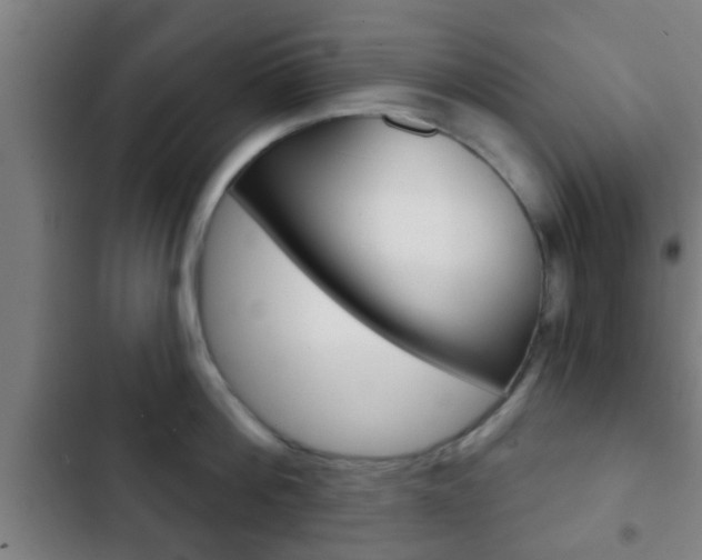 X0000103220812200808280925