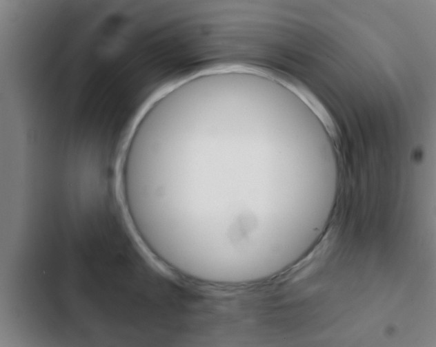 X0000103220813200808280925