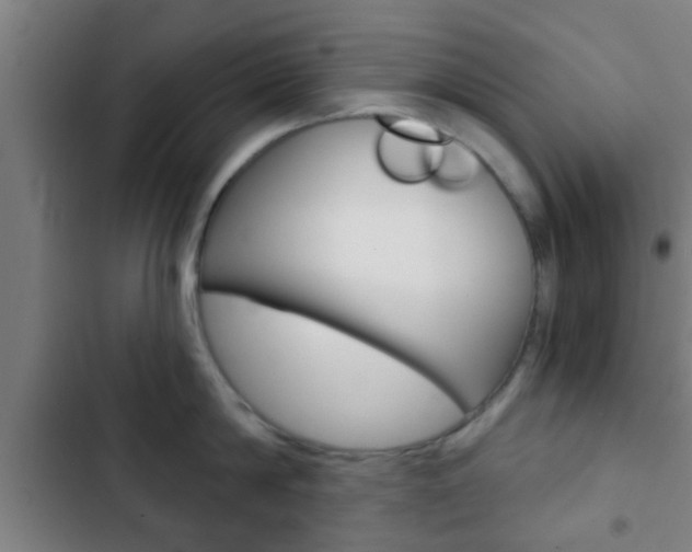 X0000103220814200808280925