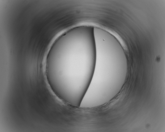X0000103220815200808280925