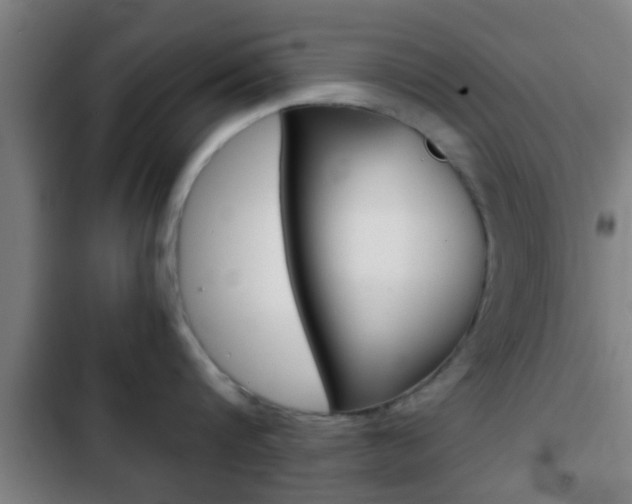 X0000103220816200808280925
