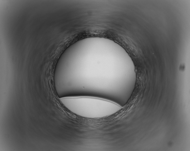 X0000103220817200808280924