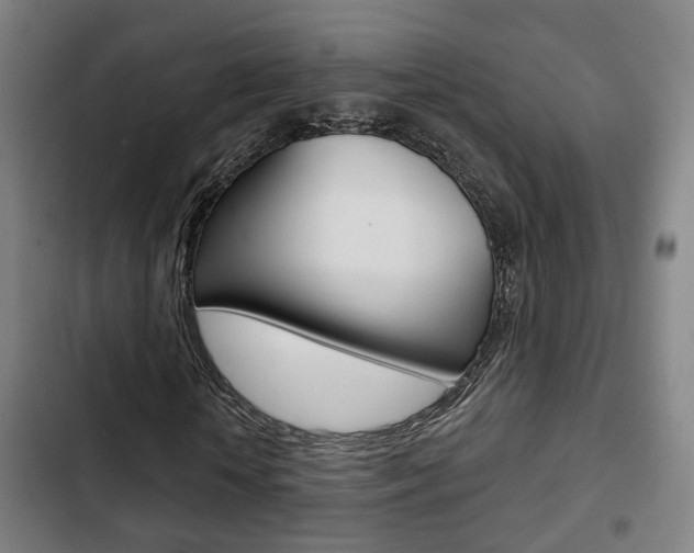 X0000103220818200808280924