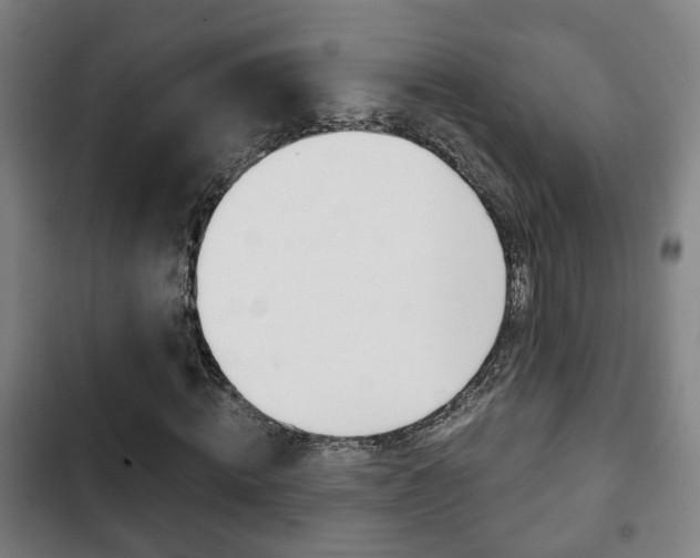 X0000103220820200808280924