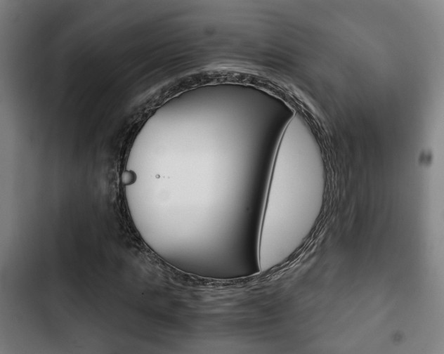 X0000103220821200808280924