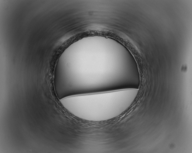 X0000103220822200808280924