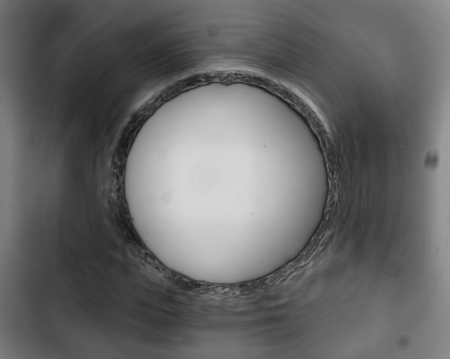 X0000103220823200808280924