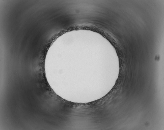 X0000103220824200808280924