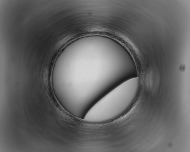 X0000103220825200808280924
