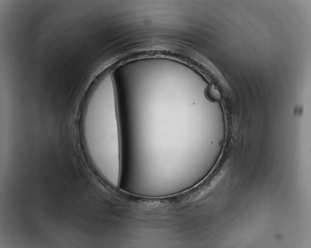 X0000103220826200808280924