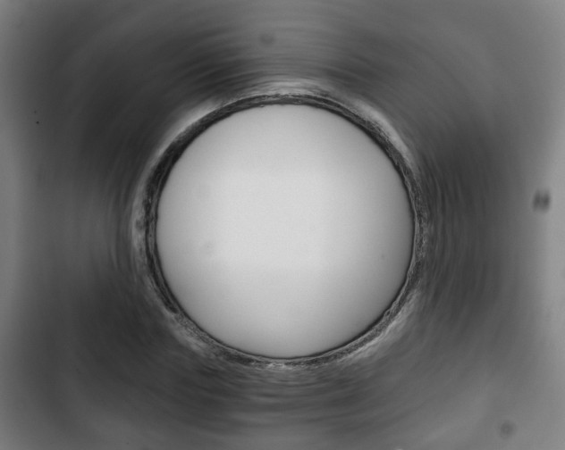 X0000103220827200808280924