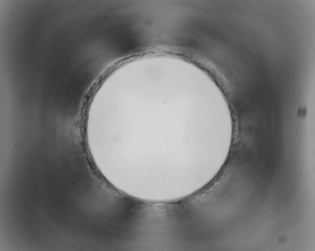 X0000103220828200808280924