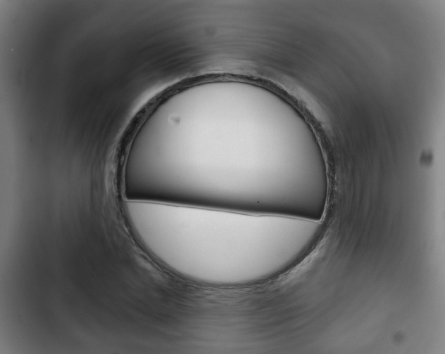 X0000103220830200808280924