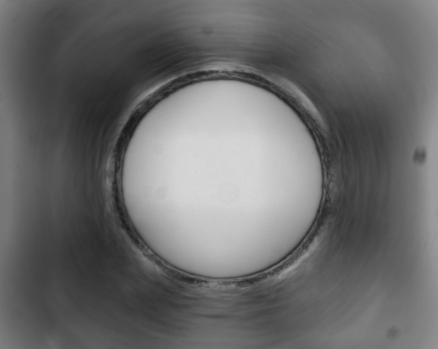 X0000103220831200808280924