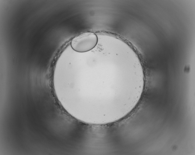 X0000103220832200808280924