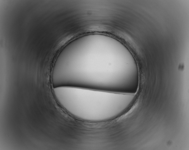 X0000103220833200808280924