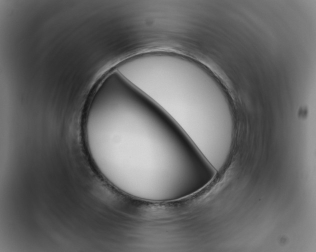 X0000103220834200808280924