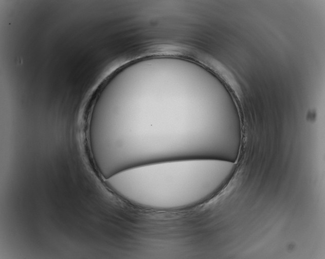 X0000103220835200808280924