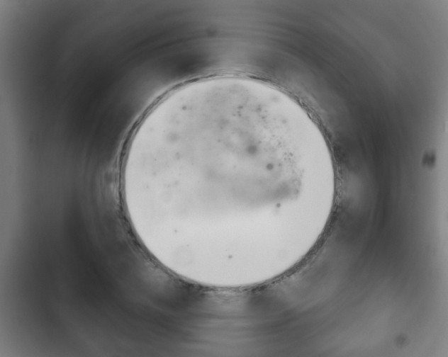 X0000103220836200808280924