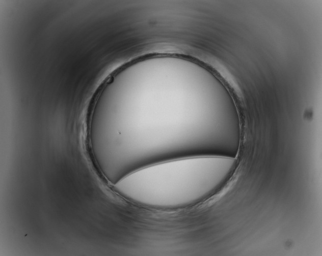 X0000103220837200808280924
