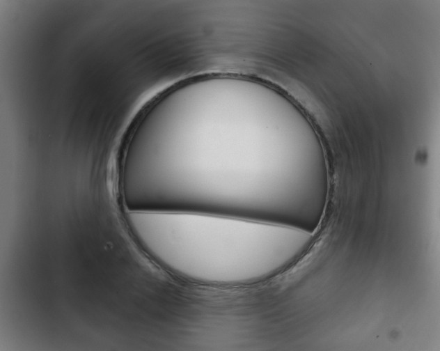 X0000103220838200808280924