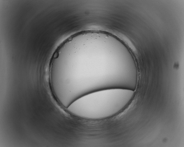 X0000103220839200808280924
