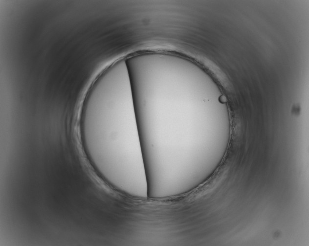 X0000103220840200808280924