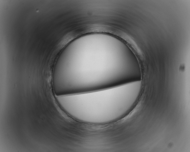 X0000103220841200808280924