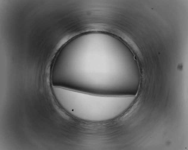 X0000103220842200808280924