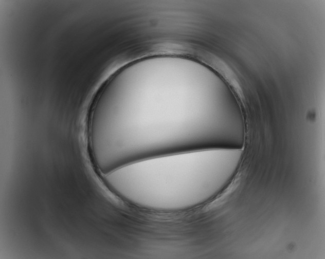 X0000103220843200808280924