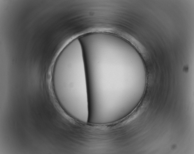 X0000103220844200808280924