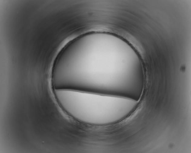 X0000103220845200808280924