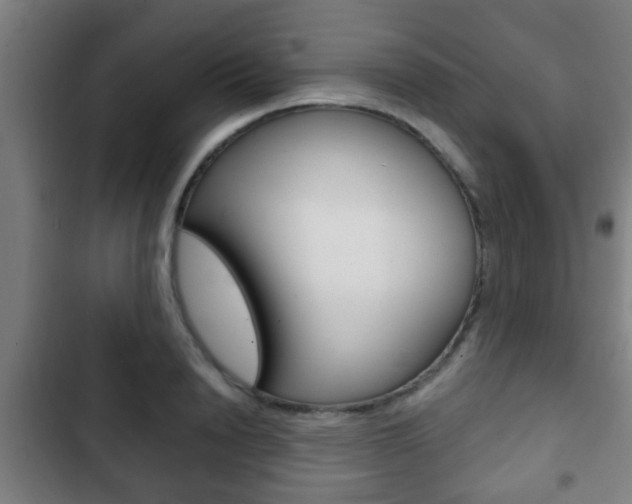 X0000103220846200808280924