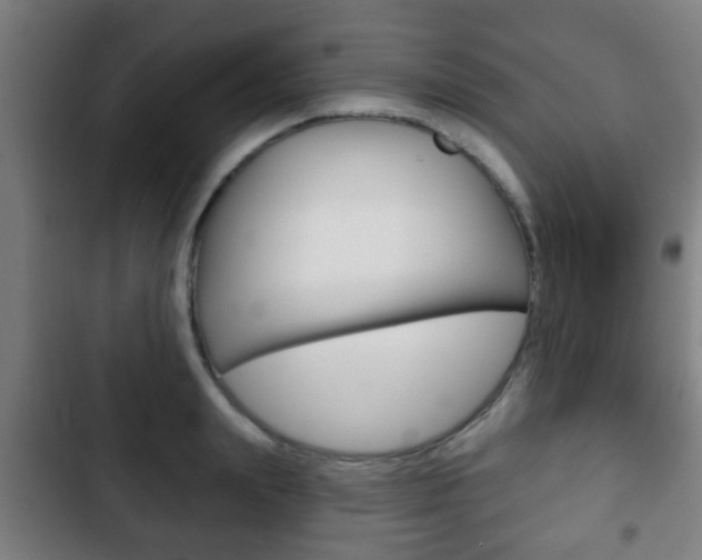 X0000103220847200808280924