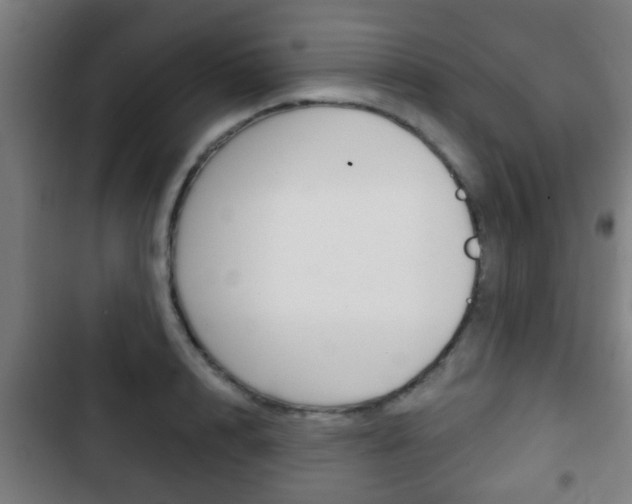 X0000103220848200808280924
