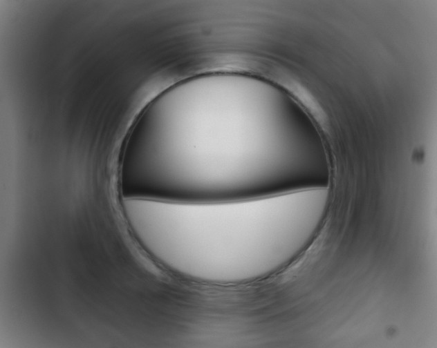 X0000103220850200808280924